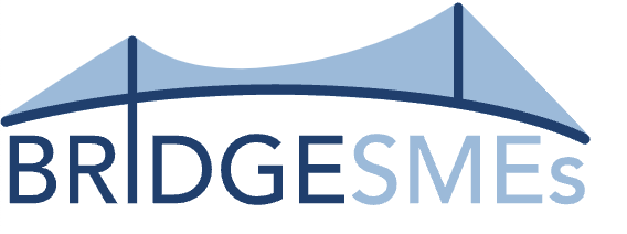 BRIDGE SMES